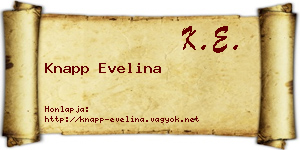 Knapp Evelina névjegykártya